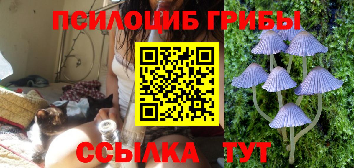 Галлюциногенные грибы MAGIC MUSHROOMS Дубна