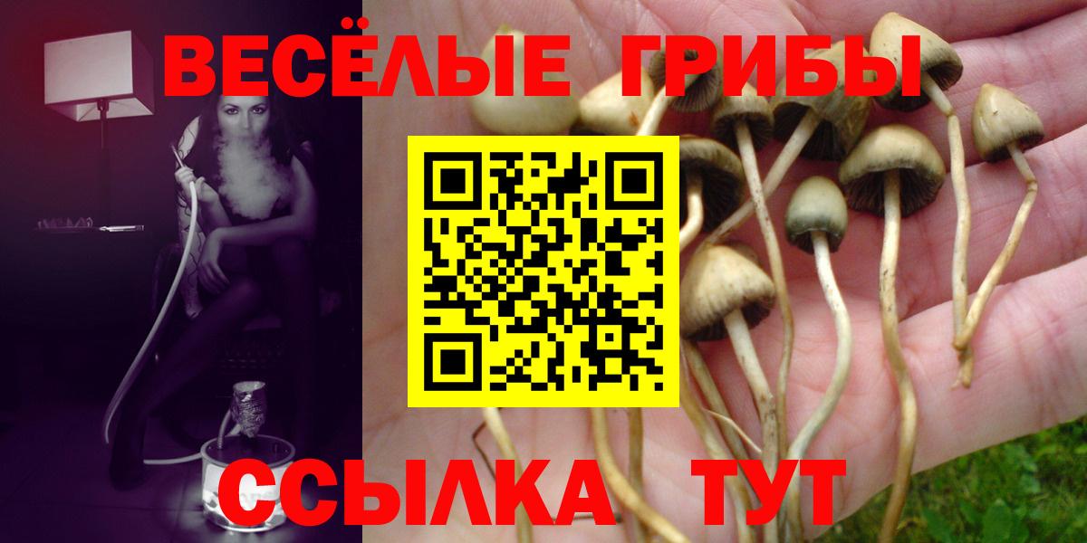 наркотики  Вход с VPN  Галлюциногенные грибы MAGIC MUSHROOMS  Дубна  Псилоцибиновые грибы ЛСД 